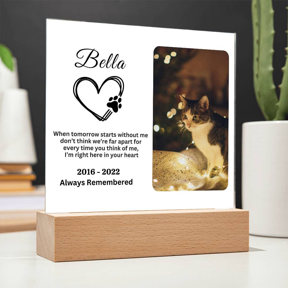 Heartfelt Cat Memorial Acrylic Square Plaque - Personalized Acrylic Plaque - Pet Memorial Gift