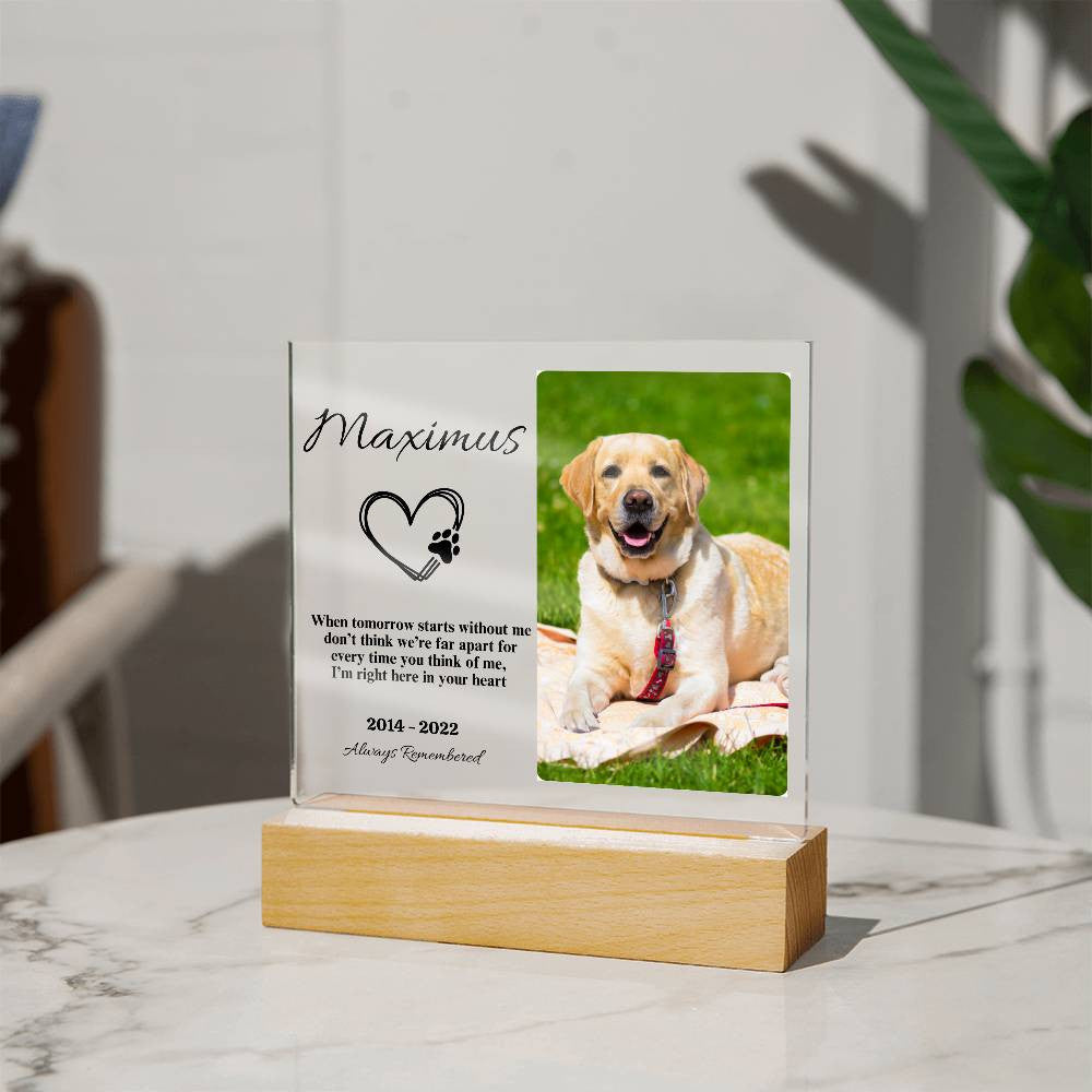 Personalized Heartfelt Pet Memorial Acrylic Square Plaque