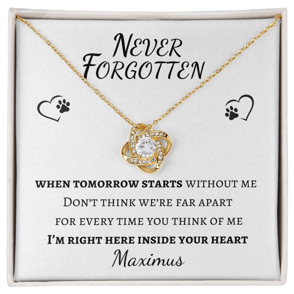 Never Forgotten Love Knot Necklace - Pet Memorial Necklace