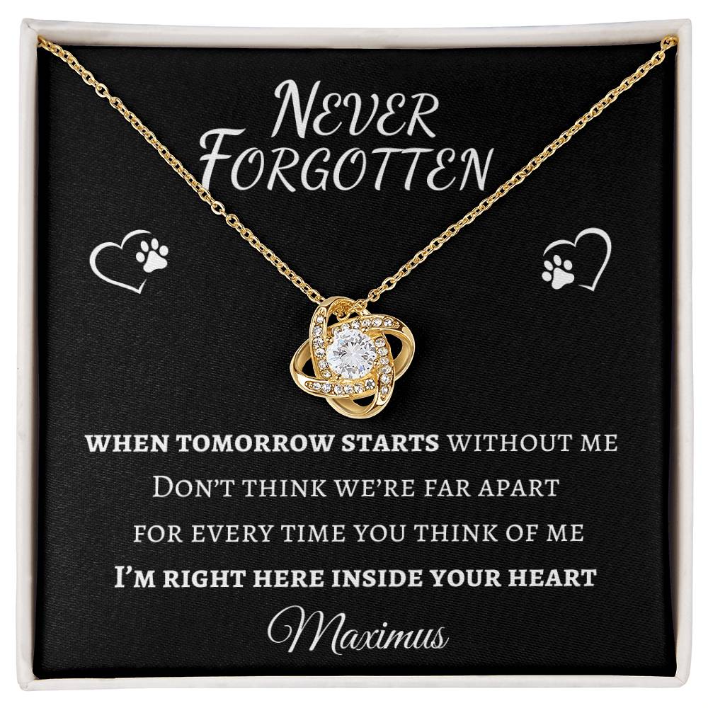 Never Forgotten Love Knot Necklace - Pet Memorial Necklace