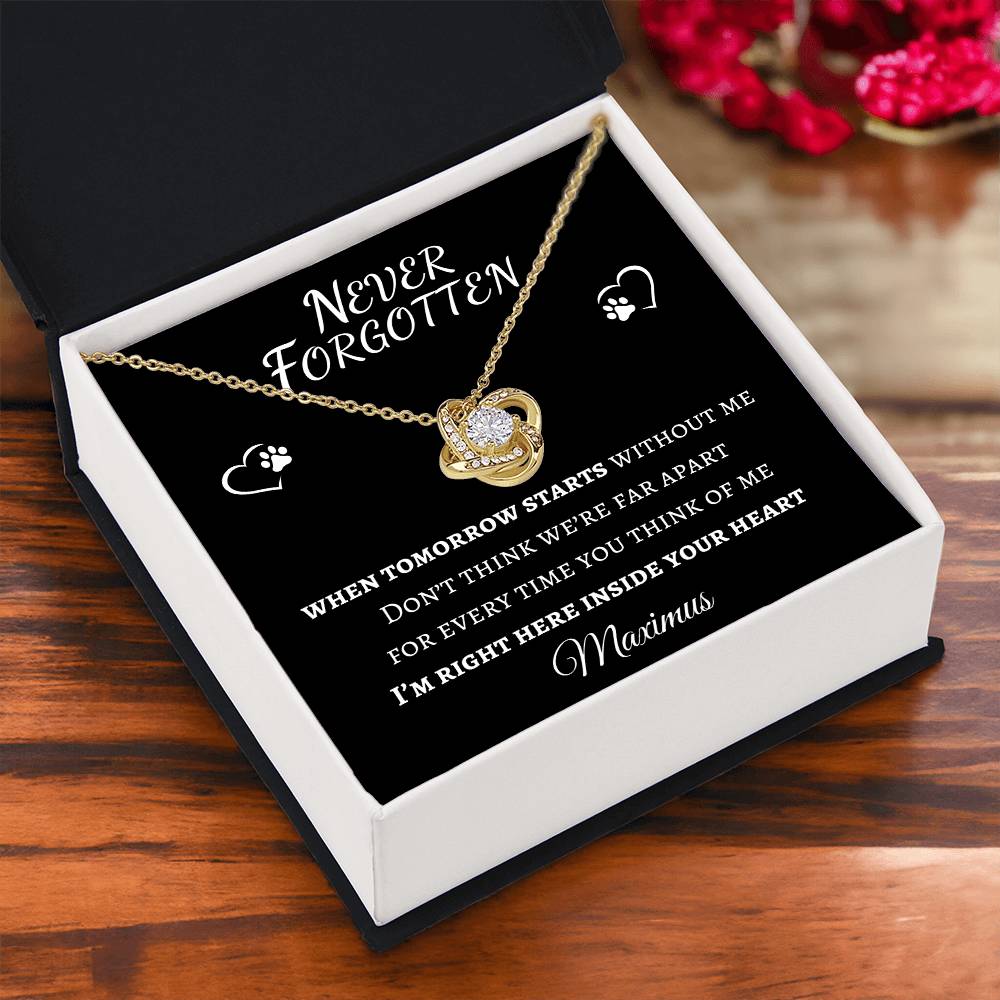 Never Forgotten Love Knot Necklace - Pet Memorial Necklace