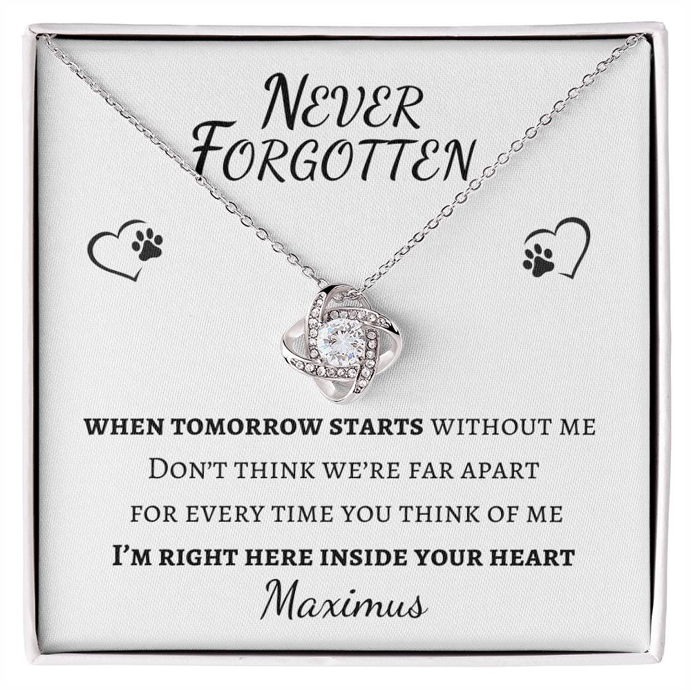 Never Forgotten Love Knot Necklace - Pet Memorial Necklace