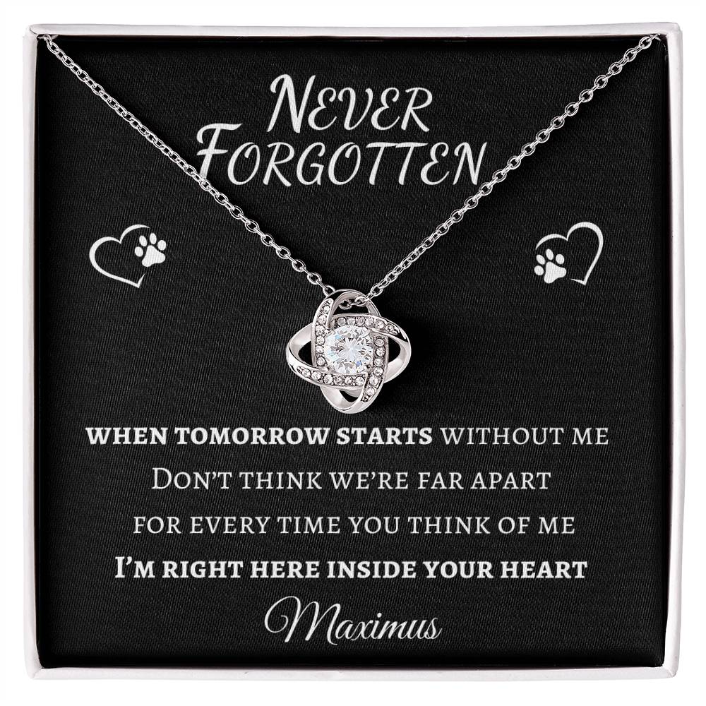 Never Forgotten Love Knot Necklace - Pet Memorial Necklace