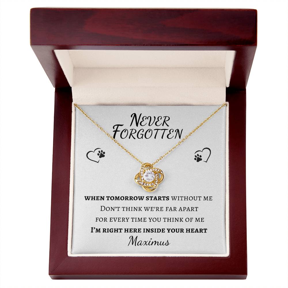 Never Forgotten Love Knot Necklace - Pet Memorial Necklace