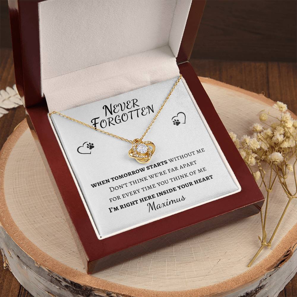 Never Forgotten Love Knot Necklace - Pet Memorial Necklace