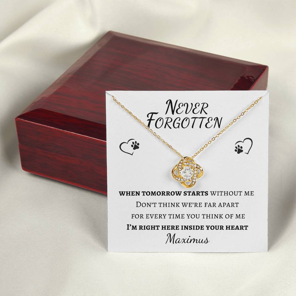 Never Forgotten Love Knot Necklace - Pet Memorial Necklace