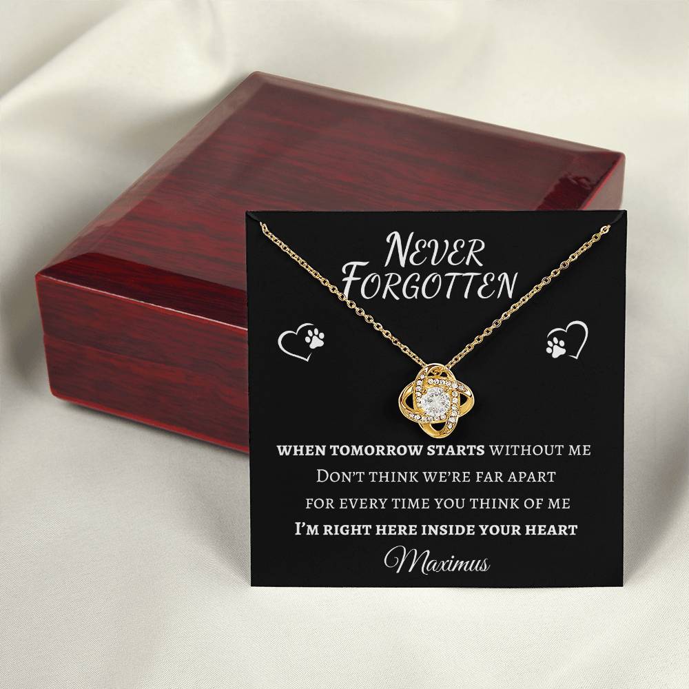 Never Forgotten Love Knot Necklace - Pet Memorial Necklace