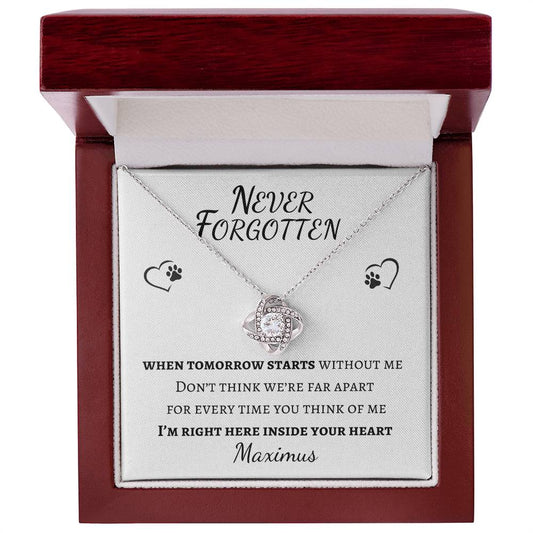 Never Forgotten Love Knot Necklace - Pet Memorial Necklace