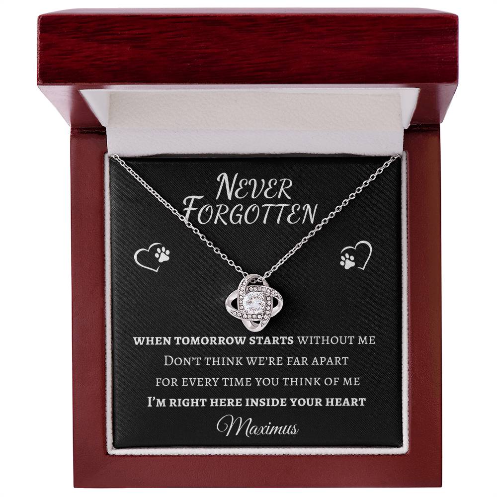 Never Forgotten Love Knot Necklace - Pet Memorial Necklace