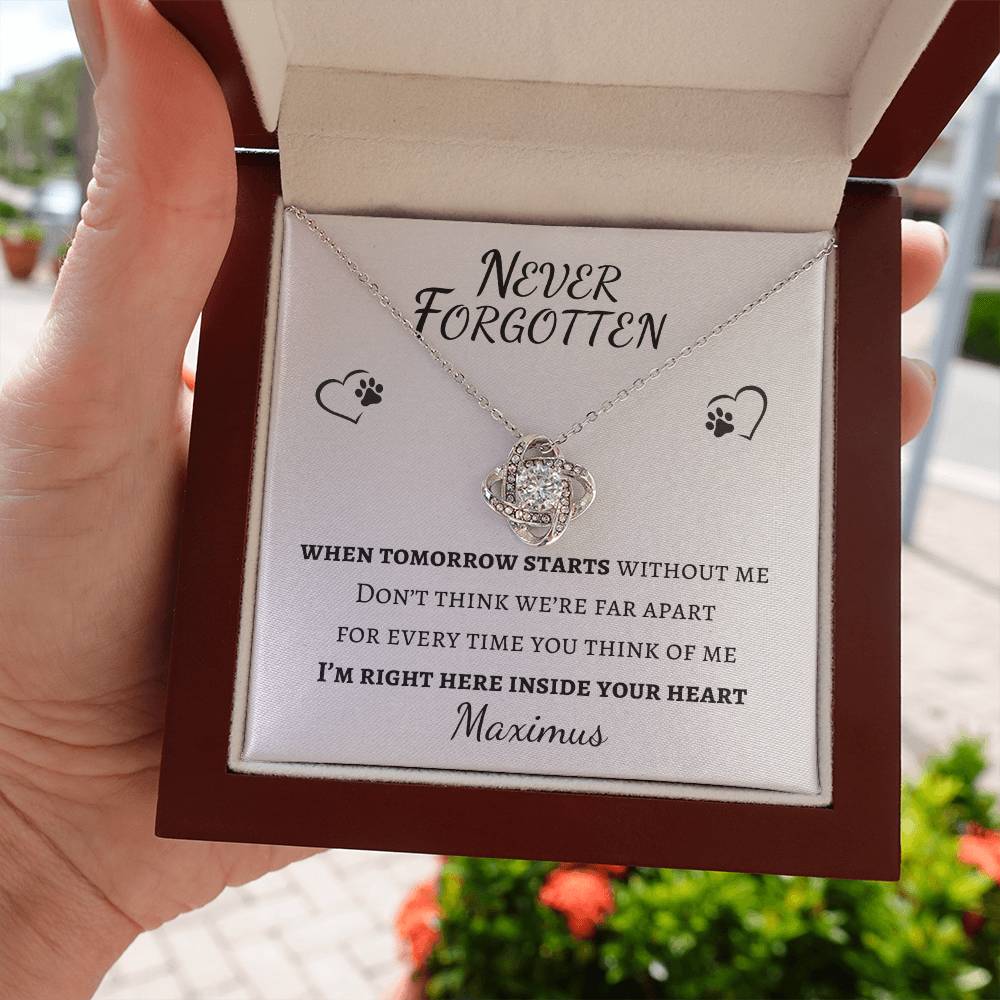 Never Forgotten Love Knot Necklace - Pet Memorial Necklace