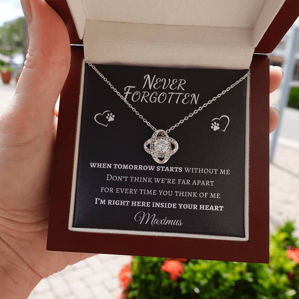 Never Forgotten Love Knot Necklace - Pet Memorial Necklace