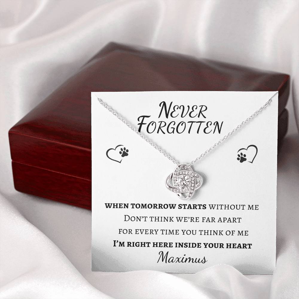 Never Forgotten Love Knot Necklace - Pet Memorial Necklace