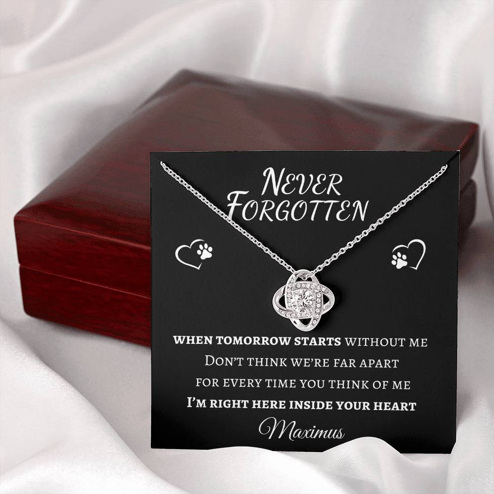 Never Forgotten Love Knot Necklace - Pet Memorial Necklace