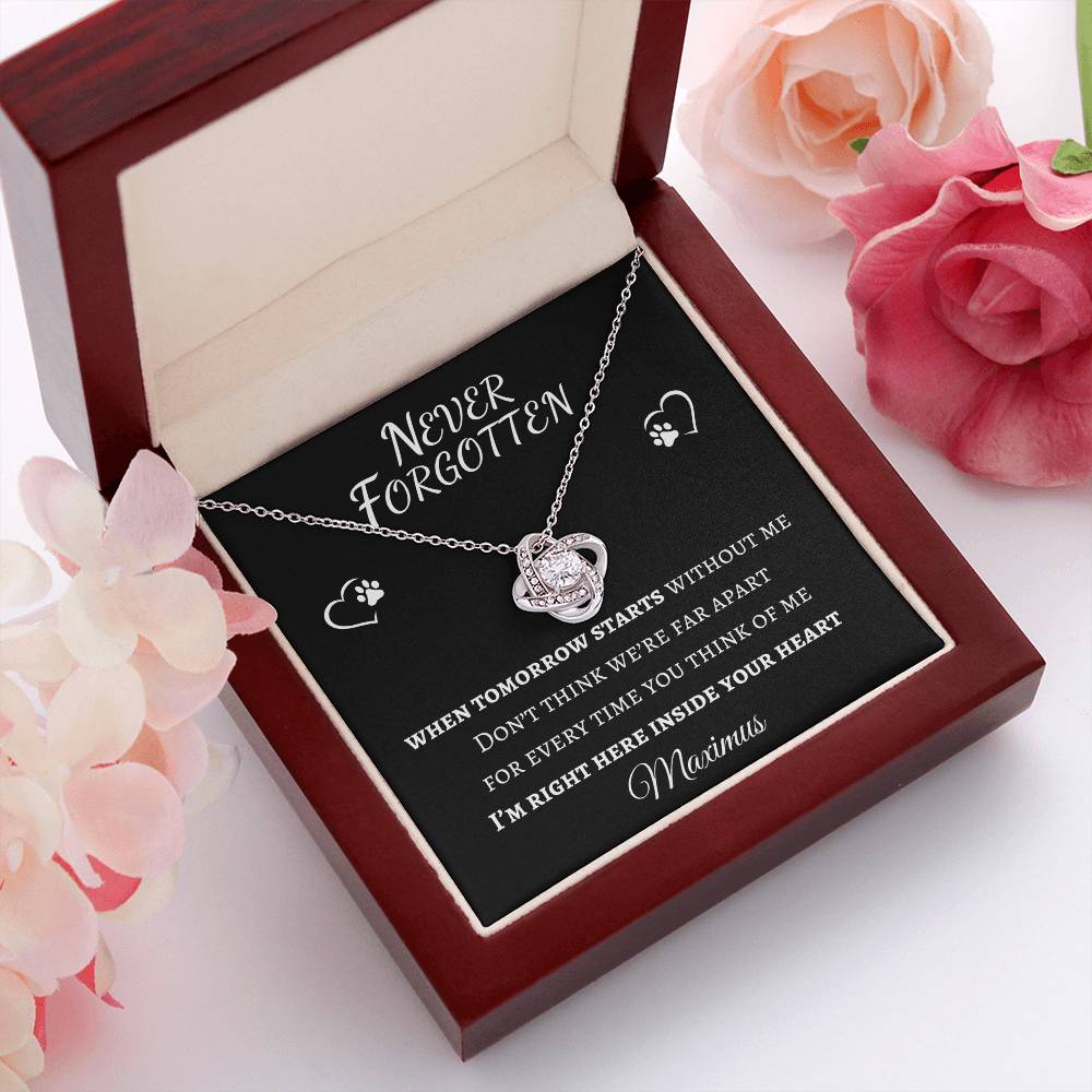 Never Forgotten Love Knot Necklace - Pet Memorial Necklace