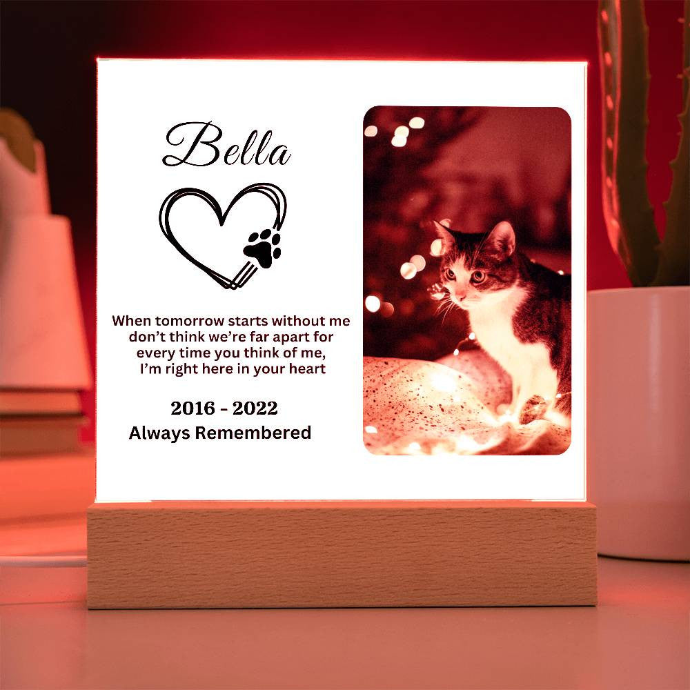 Heartfelt Cat Memorial Acrylic Square Plaque - Personalized Acrylic Plaque - Pet Memorial Gift