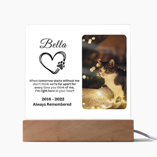 Heartfelt Cat Memorial Acrylic Square Plaque - Personalized Acrylic Plaque - Pet Memorial Gift