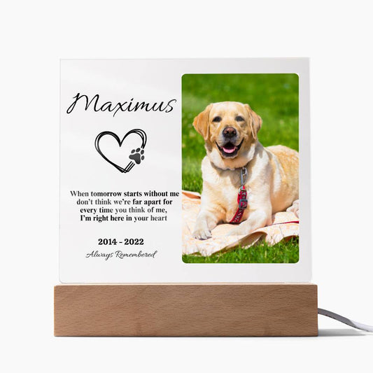 Personalized Heartfelt Pet Memorial Acrylic Square Plaque