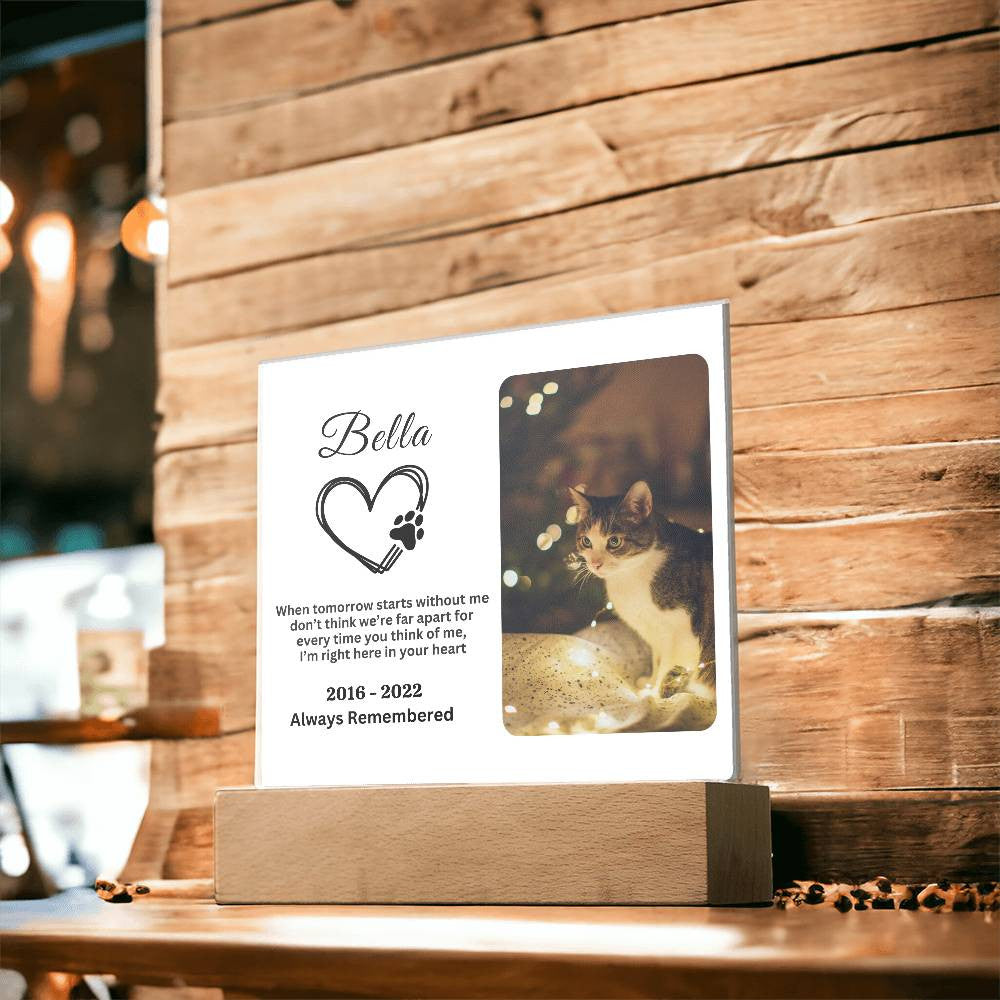 Heartfelt Cat Memorial Acrylic Square Plaque - Personalized Acrylic Plaque - Pet Memorial Gift