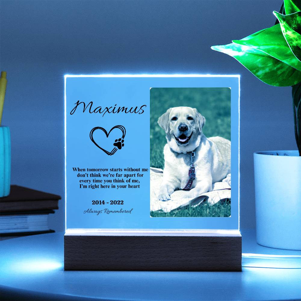 Personalized Heartfelt Pet Memorial Acrylic Square Plaque